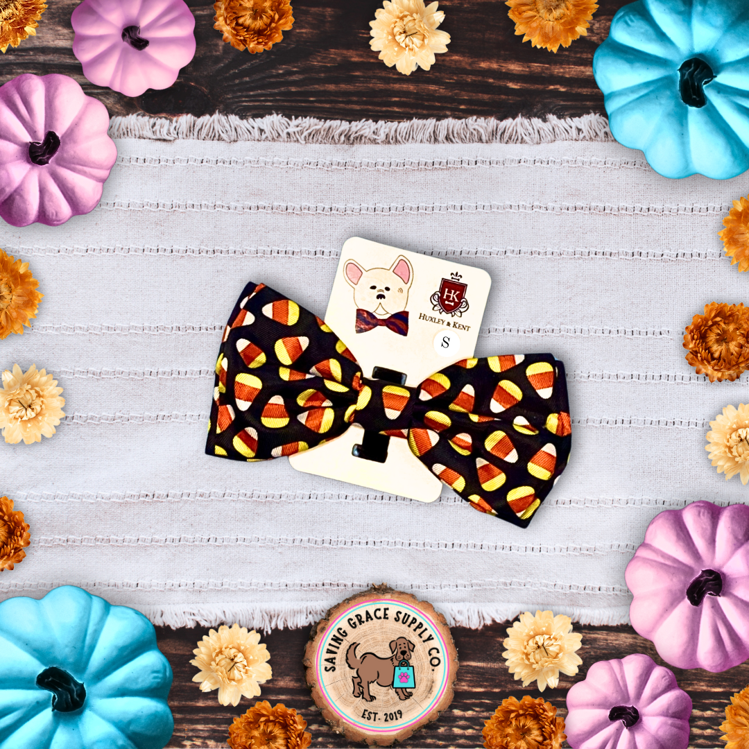 Huxley & Kent Halloween Collar Accessories