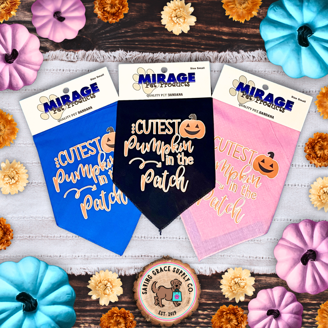 Mirage Halloween Dog Bandana