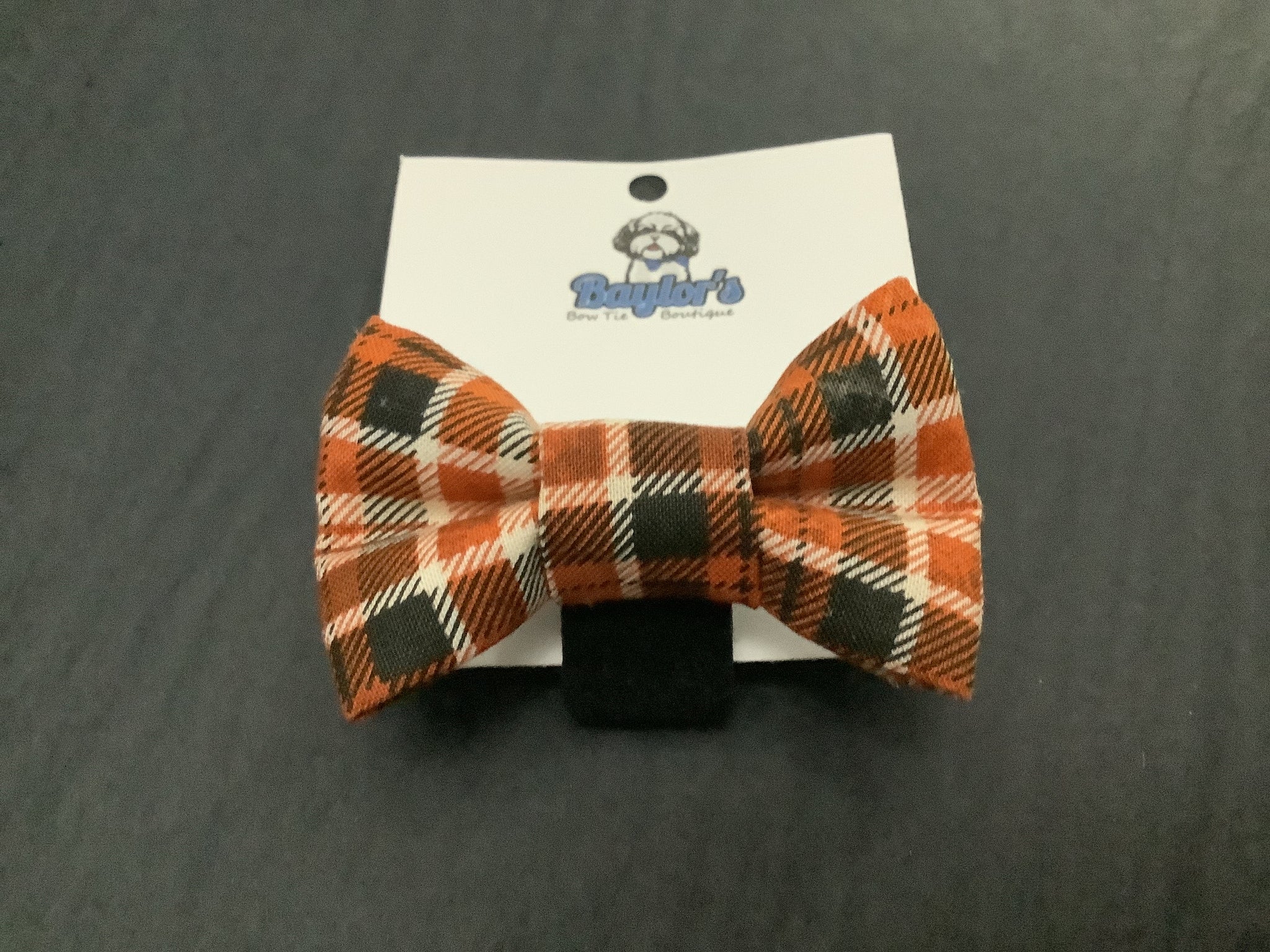 Baylor's Fall Collar Accessories