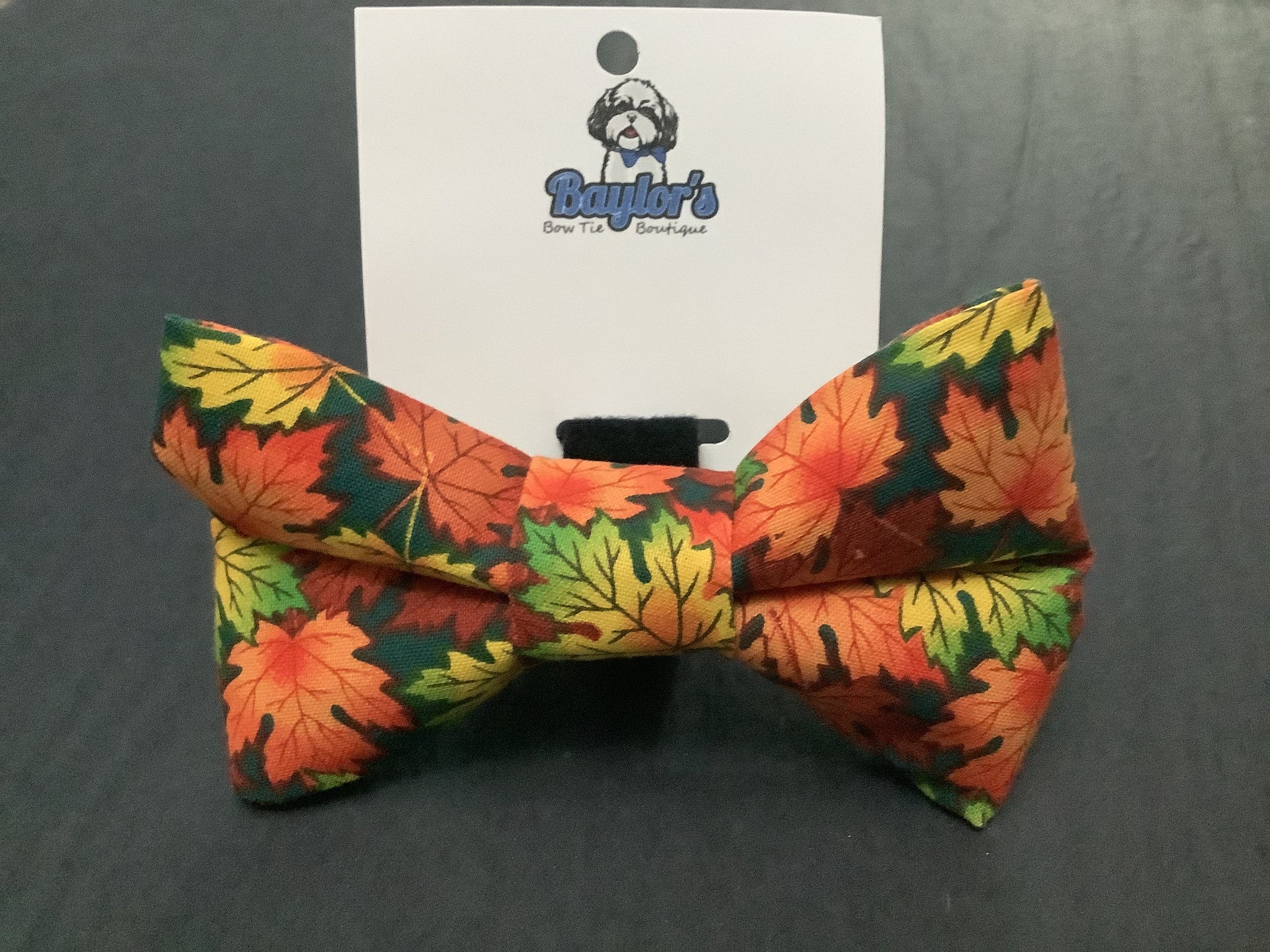 Baylor's Fall Collar Accessories