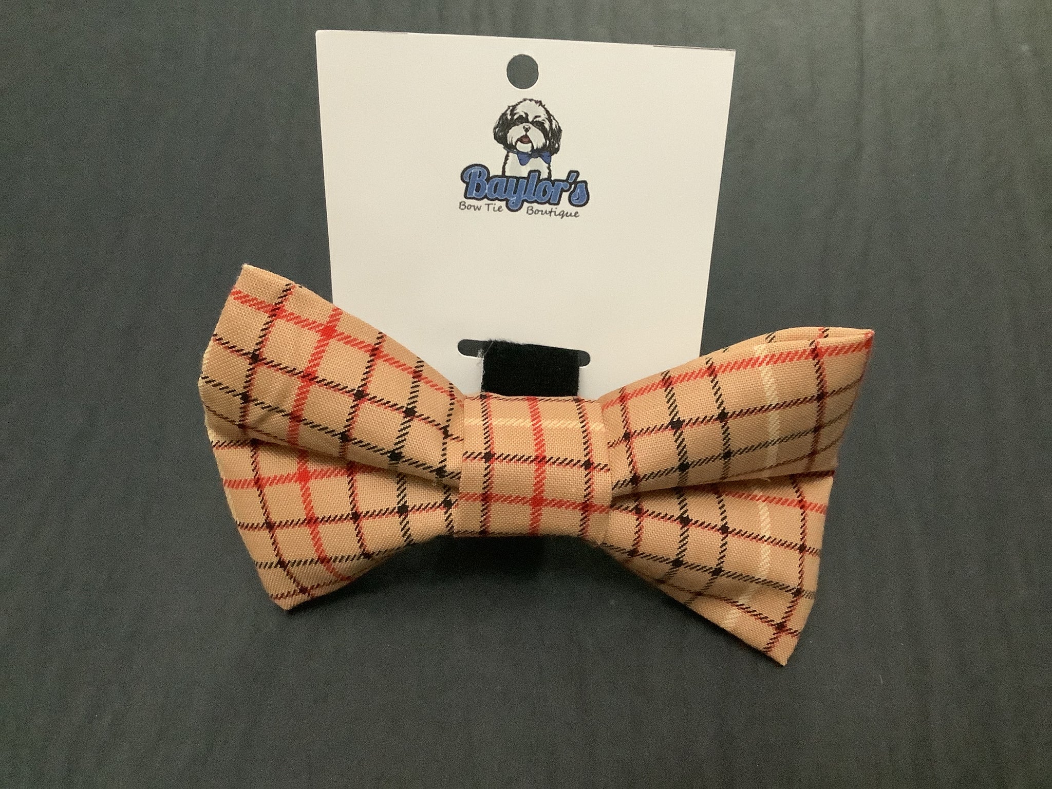 Baylor's Fall Collar Accessories