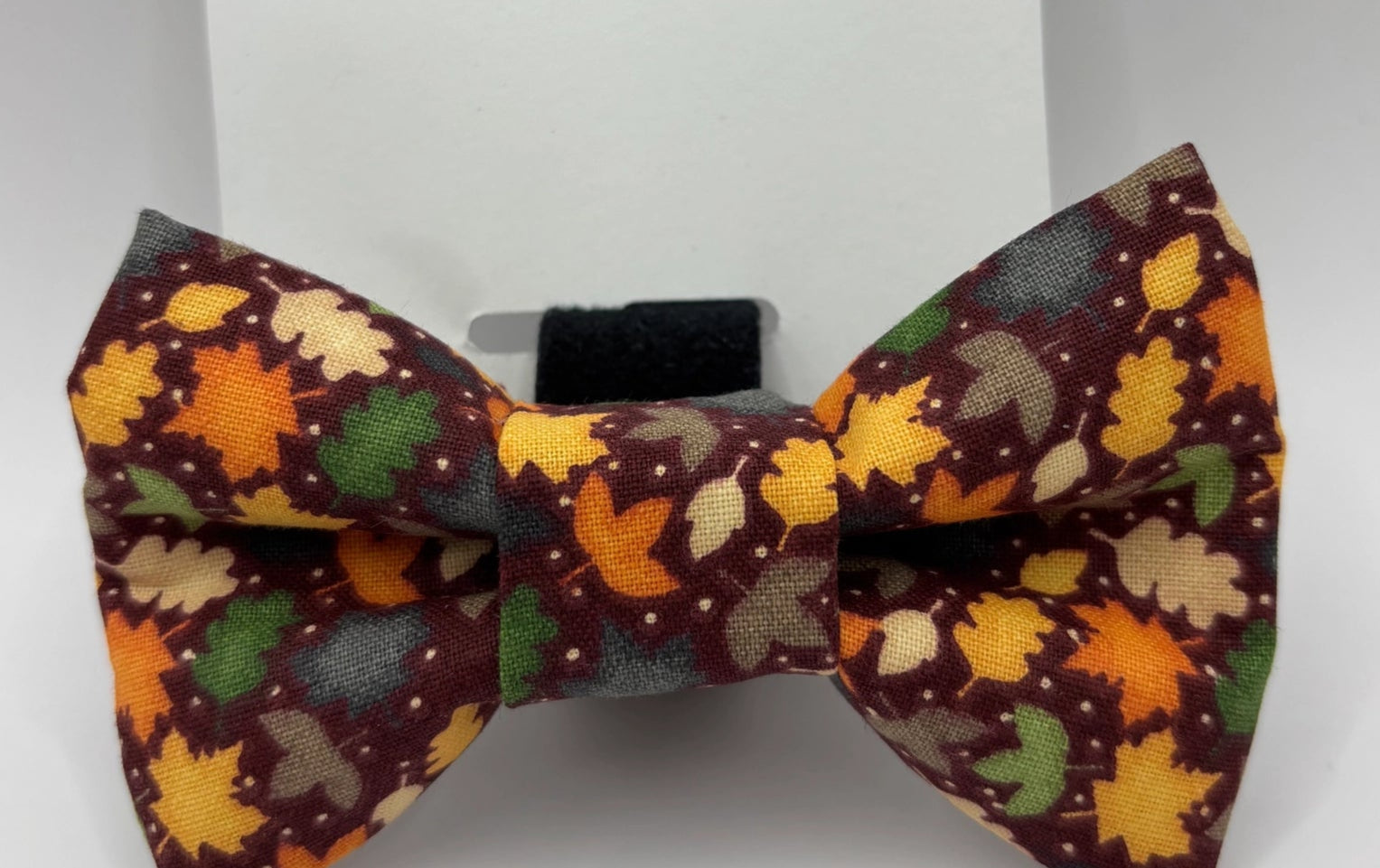 Baylor's Fall Collar Accessories