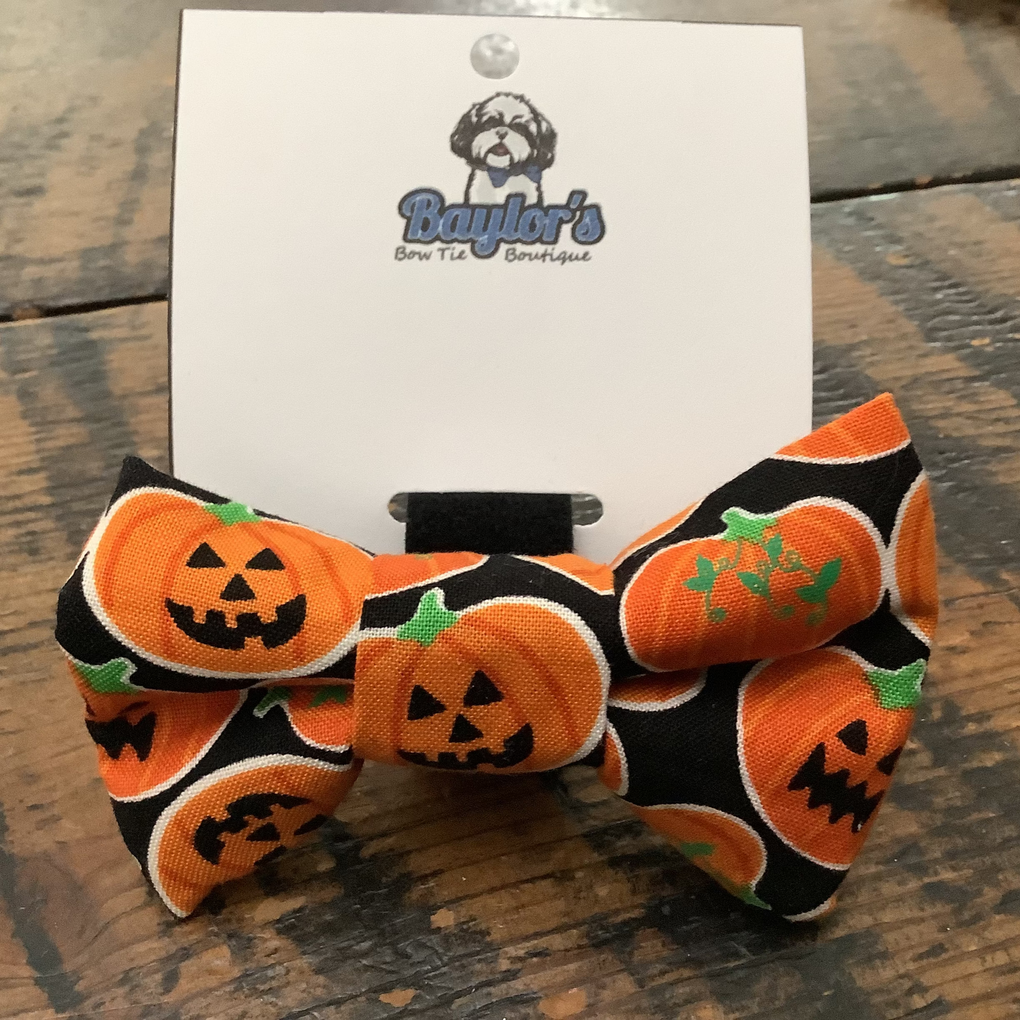 Baylor’s Halloween Collar Accessories