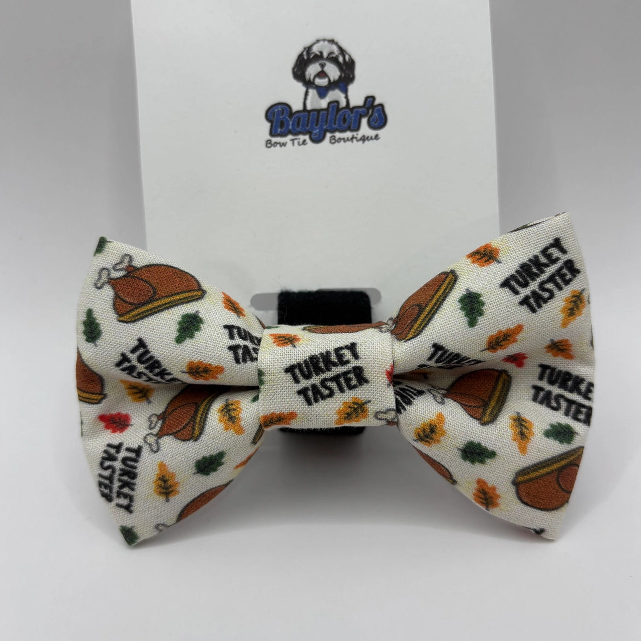 Baylor's Fall Collar Accessories