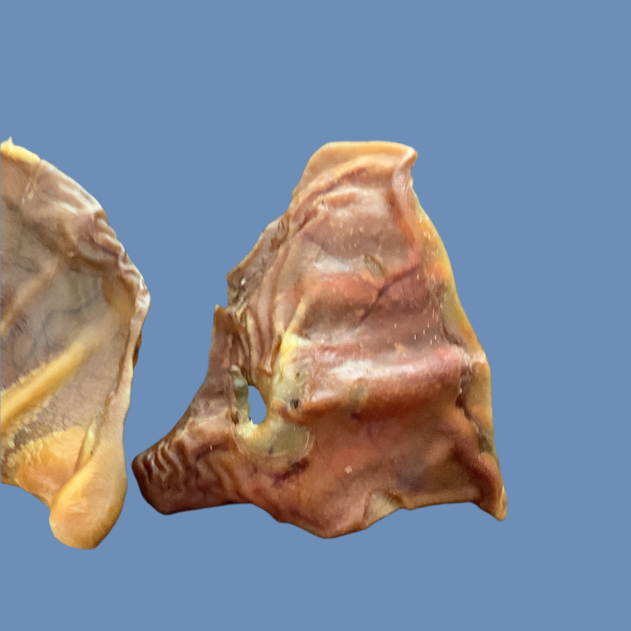 BW Pig Ears