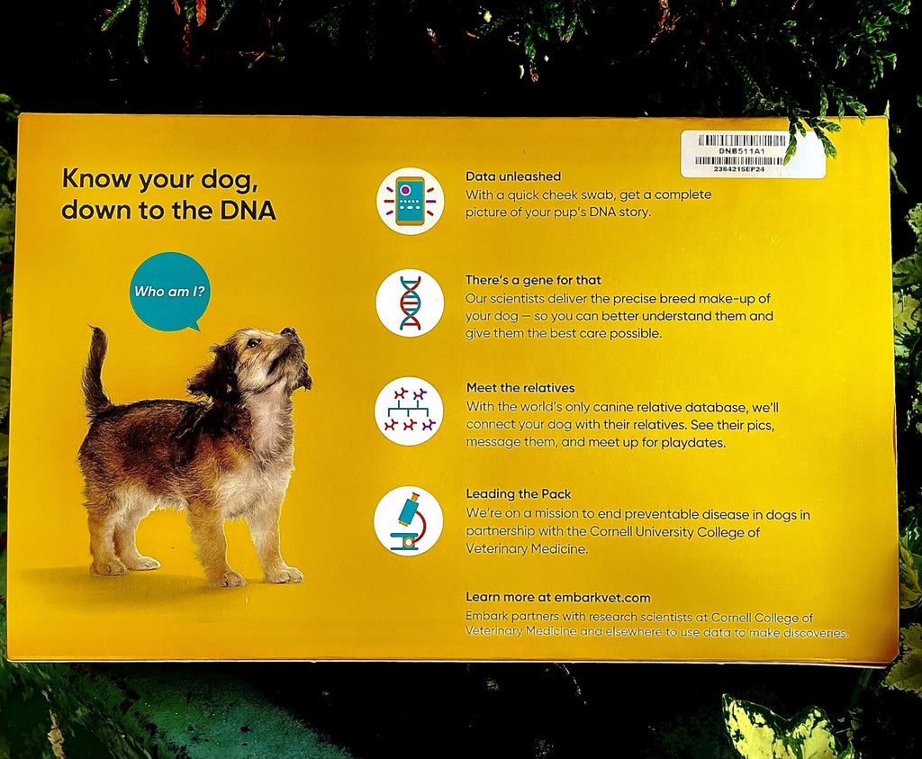 Breed Identification How To Know Which Dog Breed Is Best For You