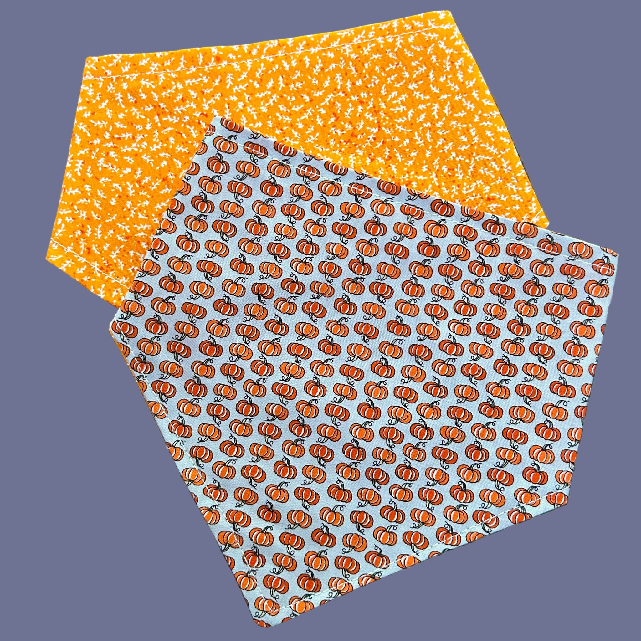Baylor's Fall Tiny Pumpkin Bandana