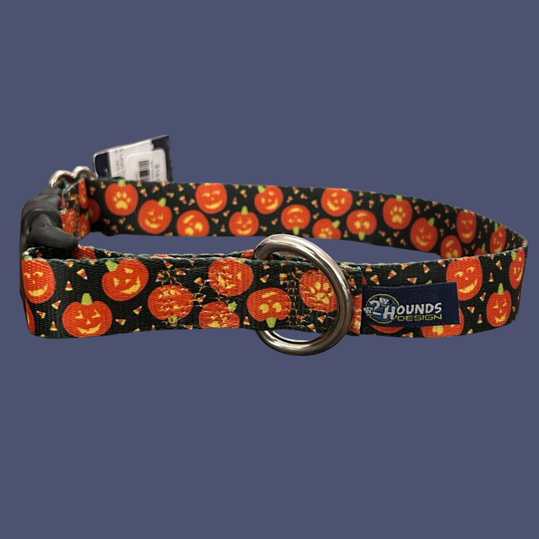 2 Hounds Fall Collar