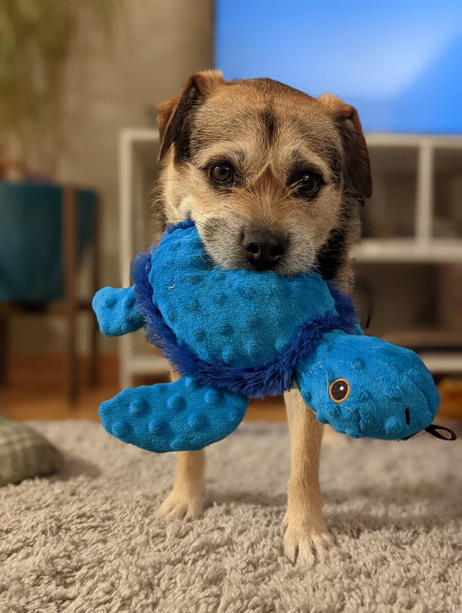 SnugArooz Tucker the Turtle Dog Toy
