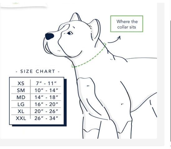 2 Hounds Christmas Collar