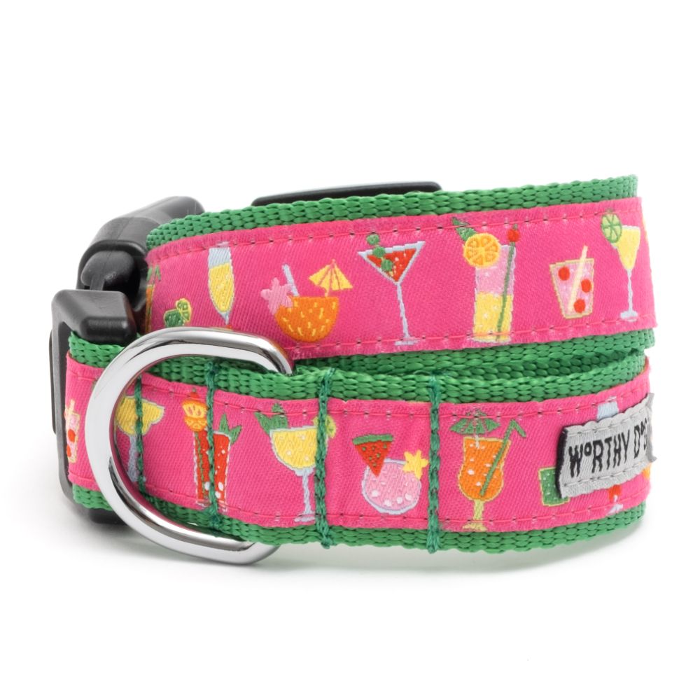 Worthy Dog Summer Collar and Lead