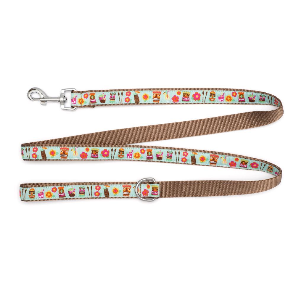 Worthy Dog Summer Collar and Lead