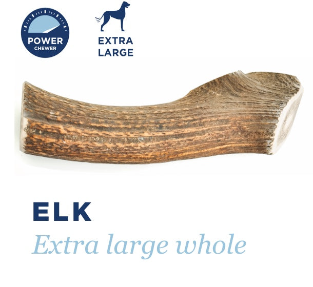 Barkworthies Whole Elk Antler