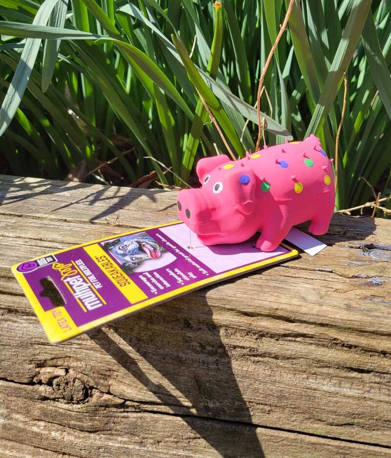 Multipet Pig Grunter Toy Small
