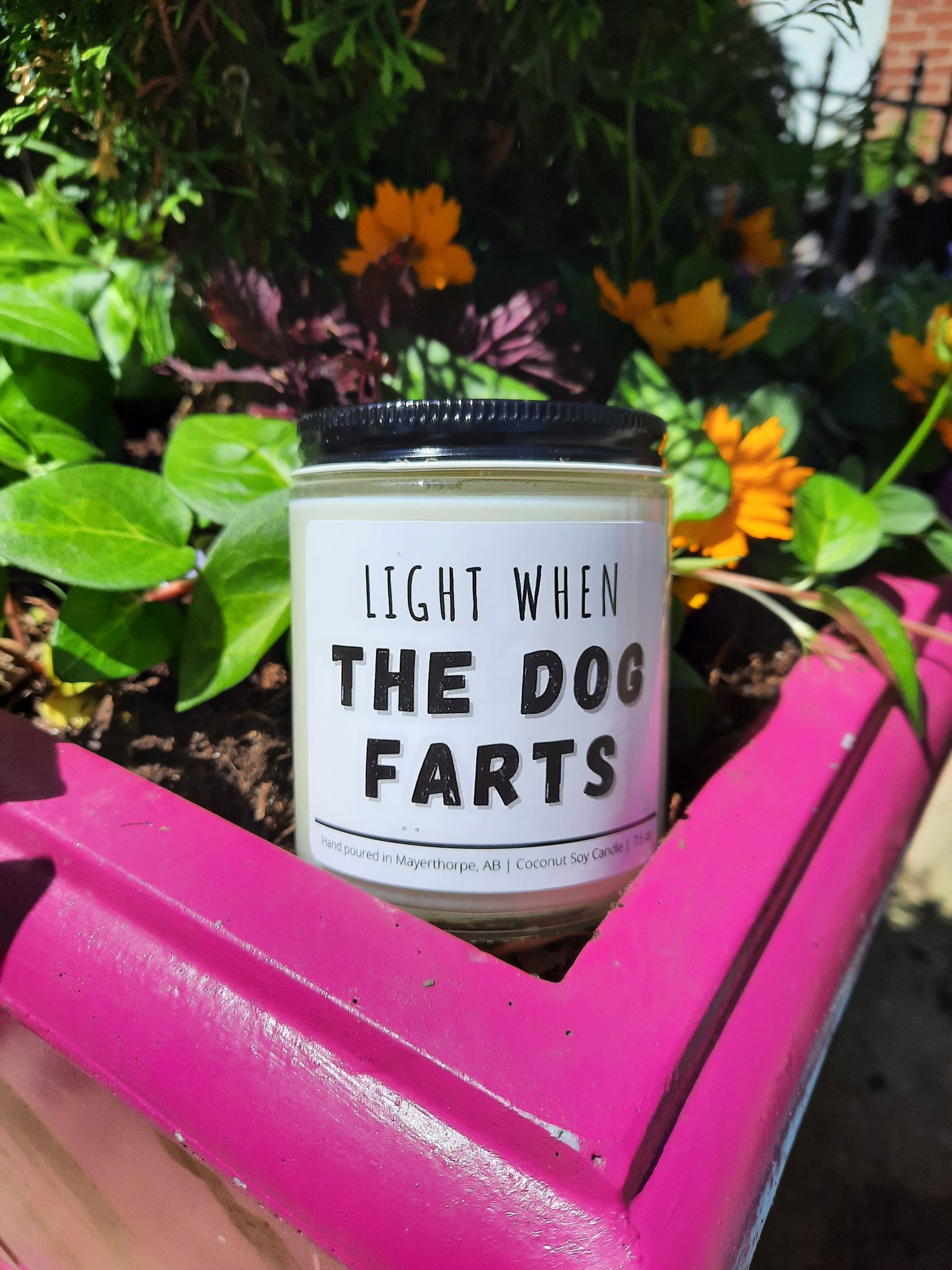 Light When the Dog Farts Candle