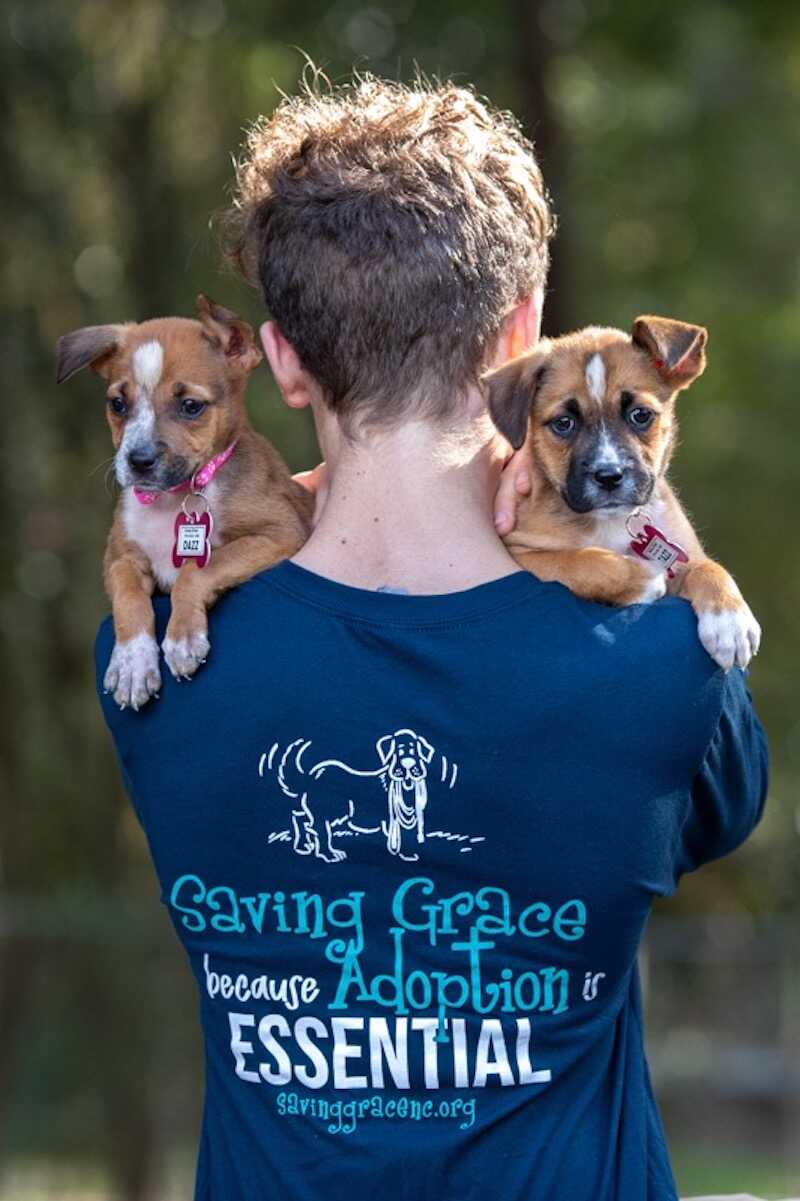 Adoption Is Essential Long-Sleeve T-Shirt