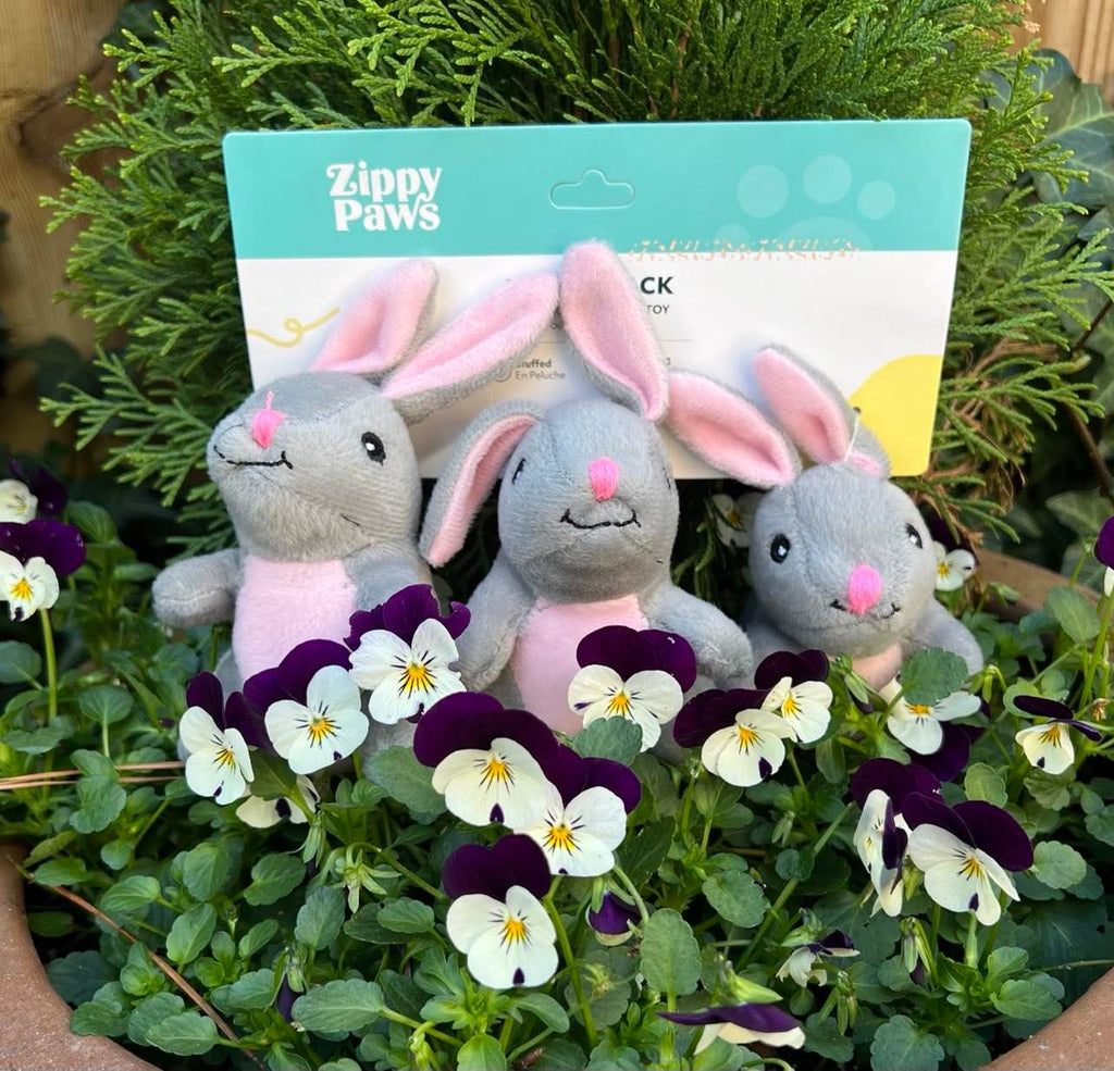 Zippy Baws Rabbit Zippy Paws Bunny Toys- 3 pack – Saving Grace Supply Co.