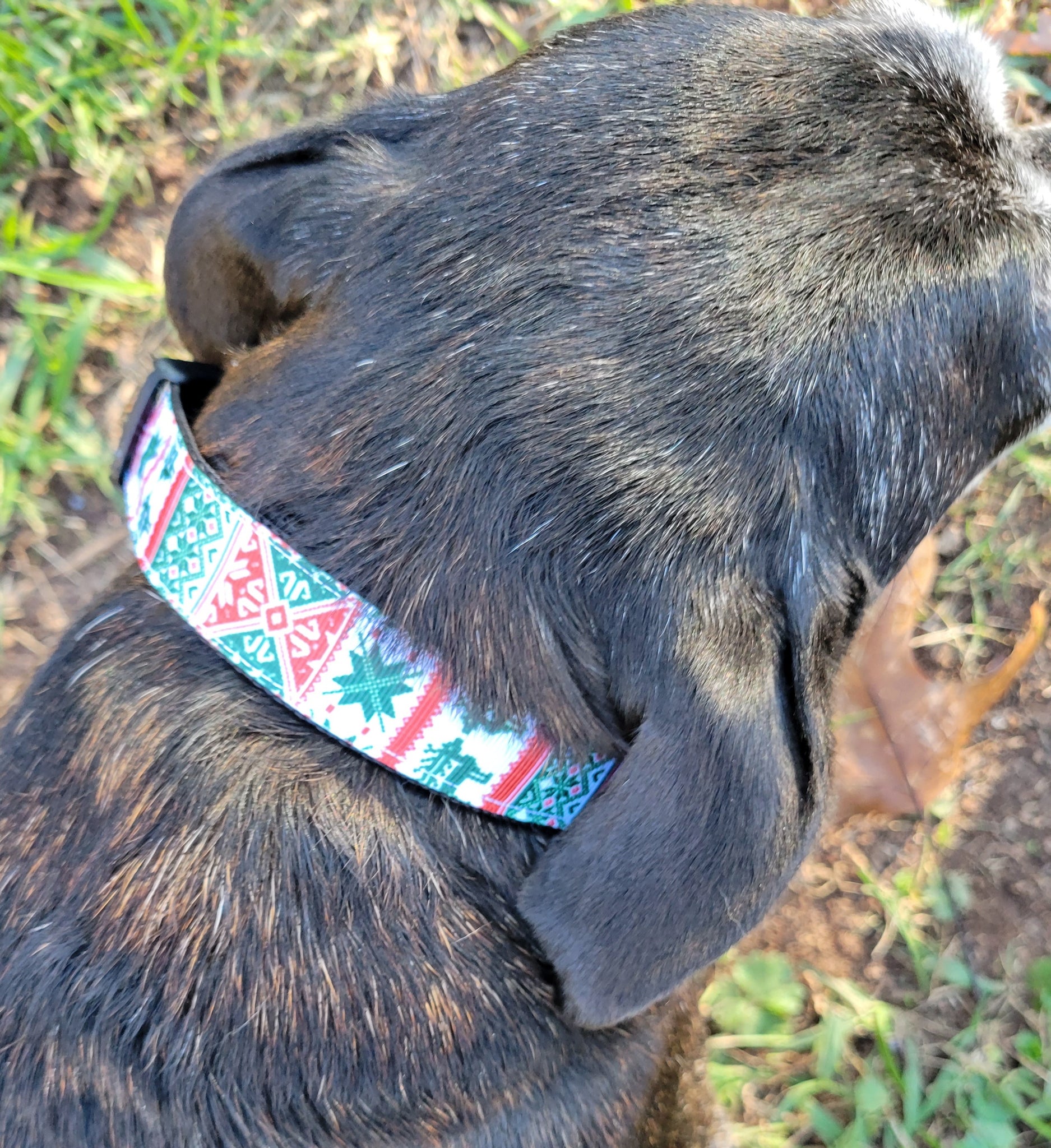 Susie Q's Holiday Collars